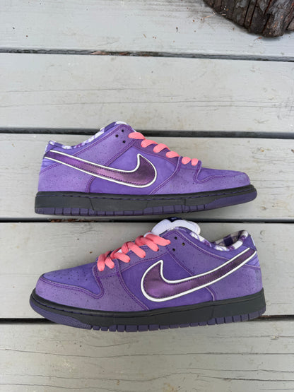 Size 10.5 - Concepts x Nike SB Dunk Low Premium Purple Lobster
