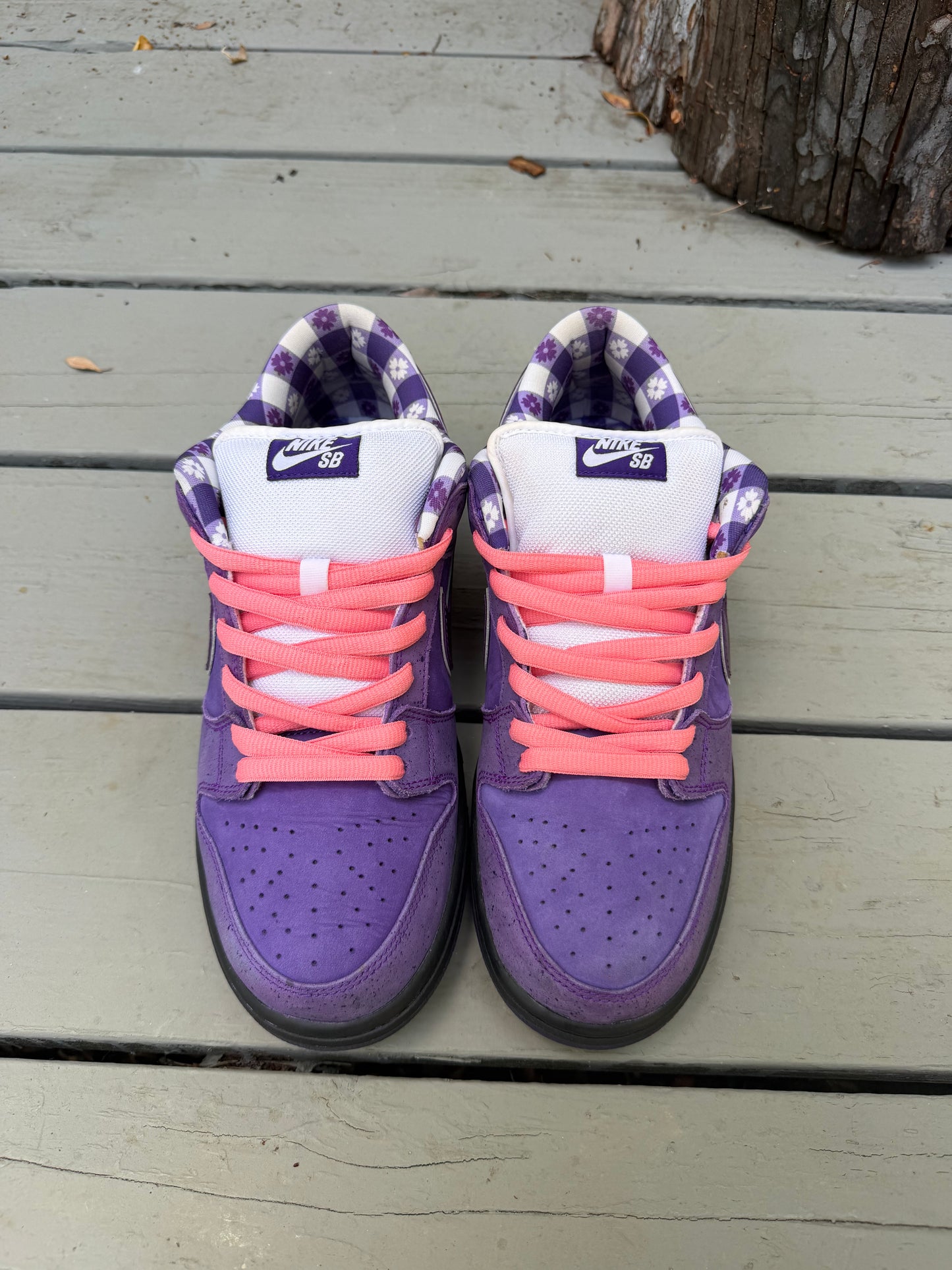 Size 10.5 - Concepts x Nike SB Dunk Low Premium Purple Lobster