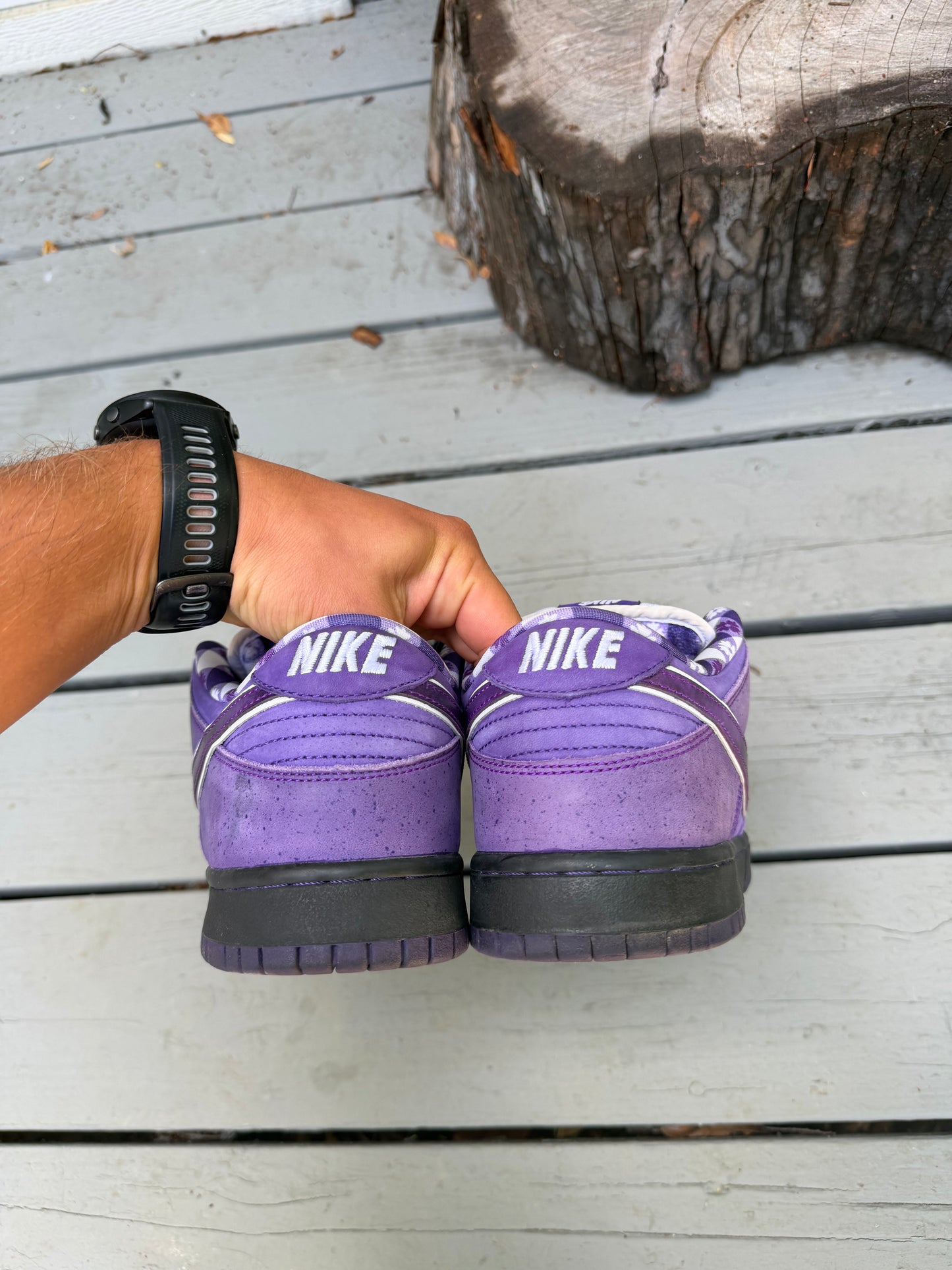 Size 10.5 - Concepts x Nike SB Dunk Low Premium Purple Lobster