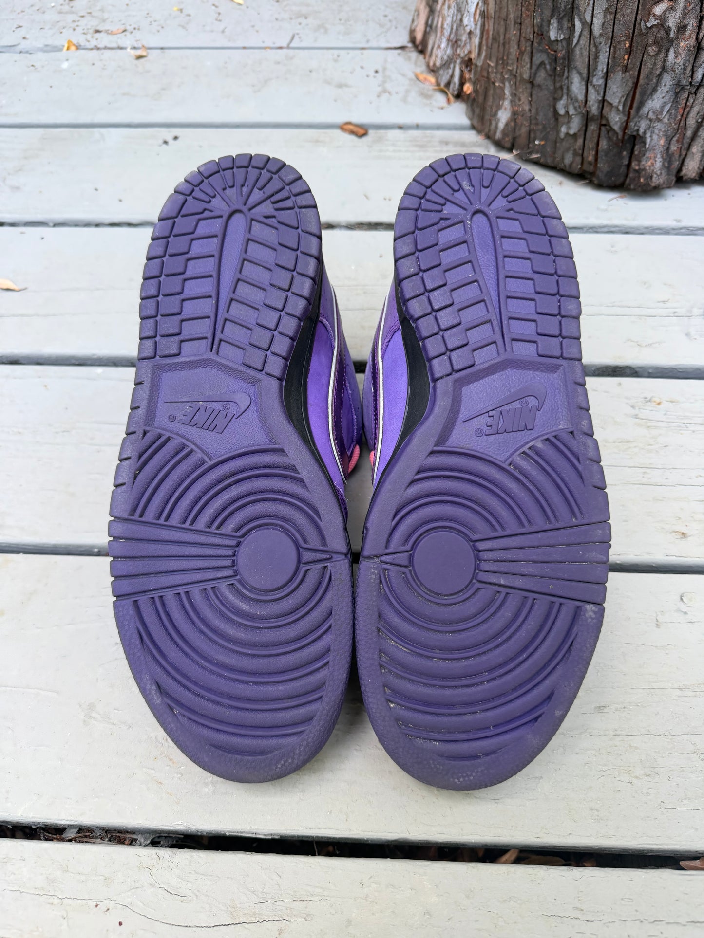 Size 10.5 - Concepts x Nike SB Dunk Low Premium Purple Lobster
