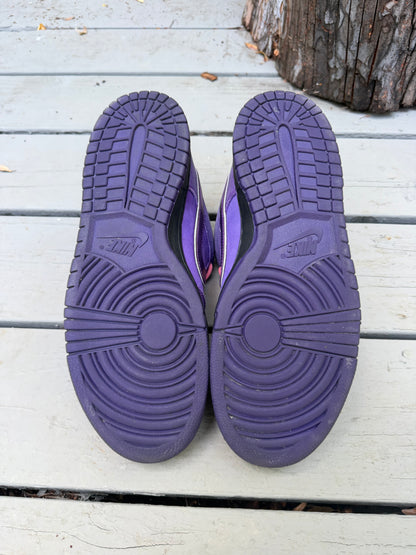 Size 10.5 - Concepts x Nike SB Dunk Low Premium Purple Lobster