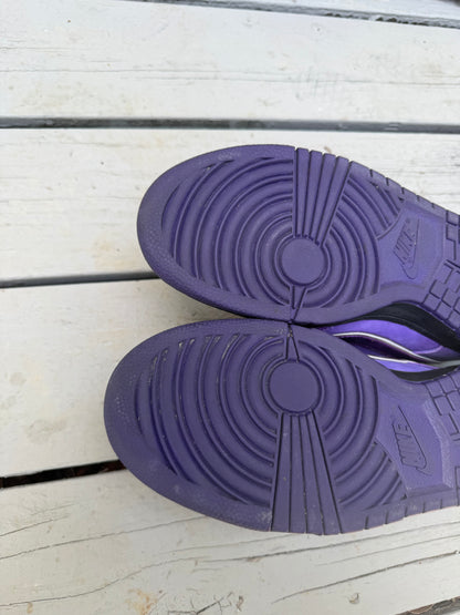 Size 10.5 - Concepts x Nike SB Dunk Low Premium Purple Lobster