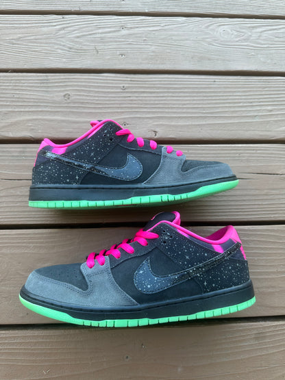 Size 10.5 - Nike Dunk Low Premium SB Northern Lights
