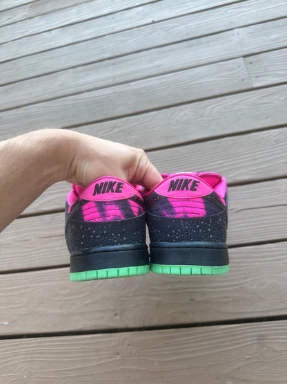 Size 10.5 - Nike Dunk Low Premium SB Northern Lights