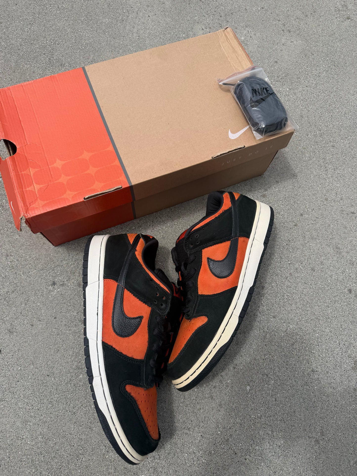 Size 10.5 - Nike Dunk Low Pro SB Flash