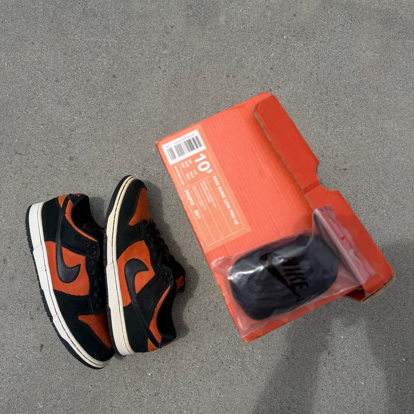 Size 10.5 - Nike Dunk Low Pro SB Flash