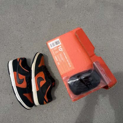 Size 10.5 - Nike Dunk Low Pro SB Flash