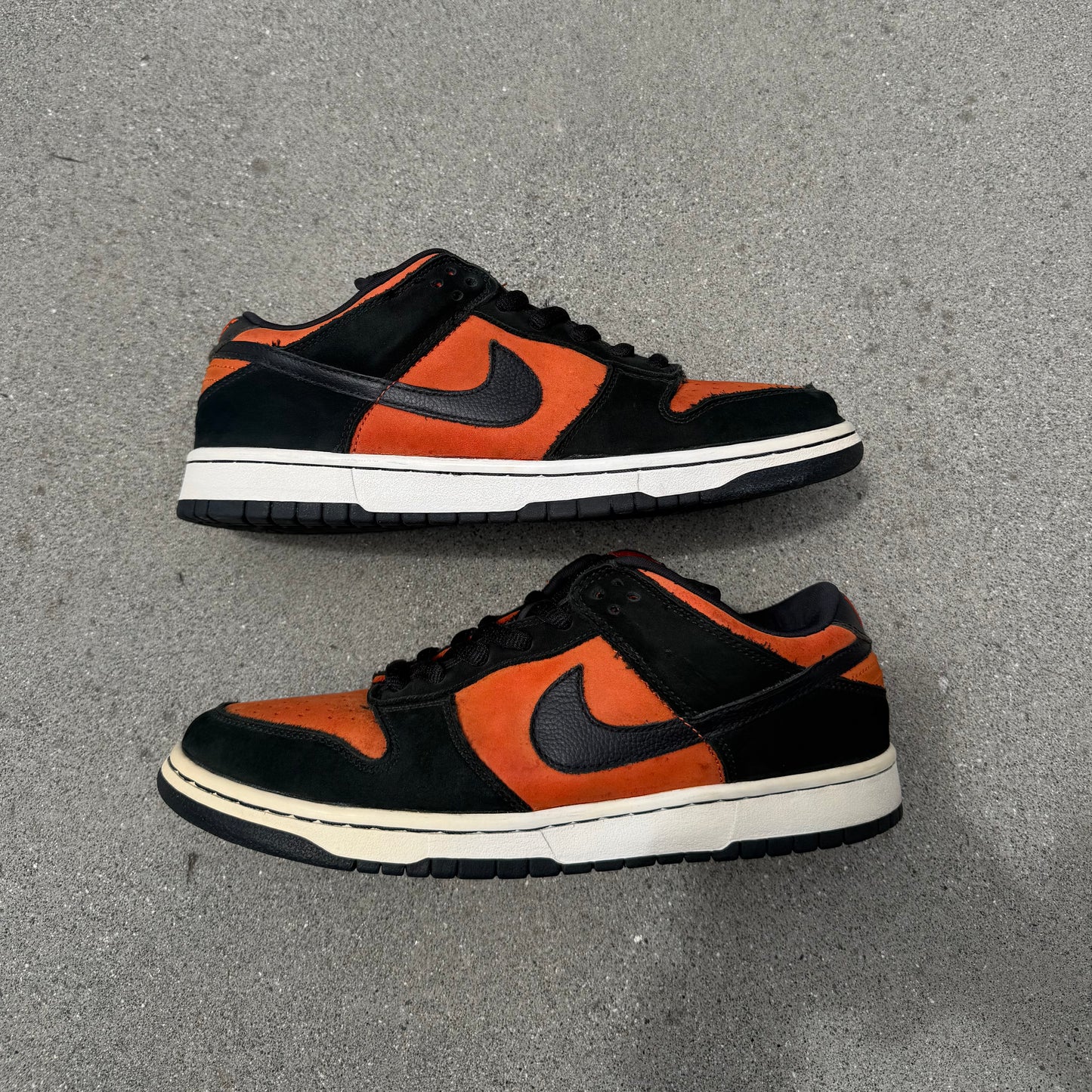 Size 10.5 - Nike Dunk Low Pro SB Flash