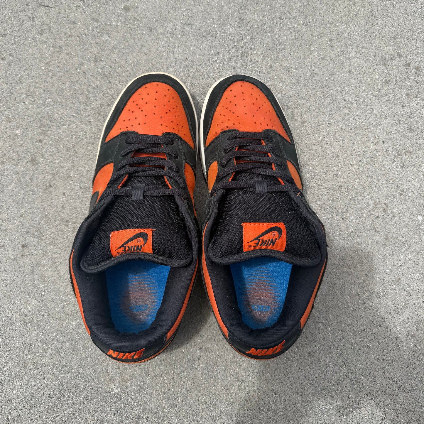 Size 10.5 - Nike Dunk Low Pro SB Flash