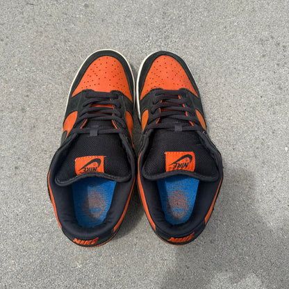 Size 10.5 - Nike Dunk Low Pro SB Flash