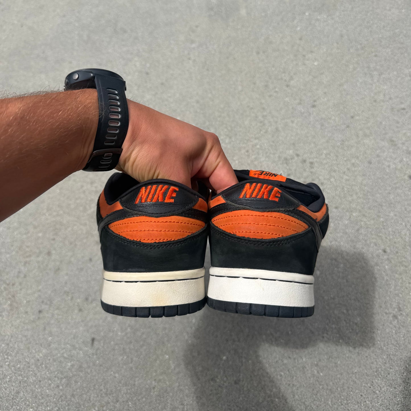 Size 10.5 - Nike Dunk Low Pro SB Flash