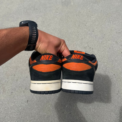 Size 10.5 - Nike Dunk Low Pro SB Flash