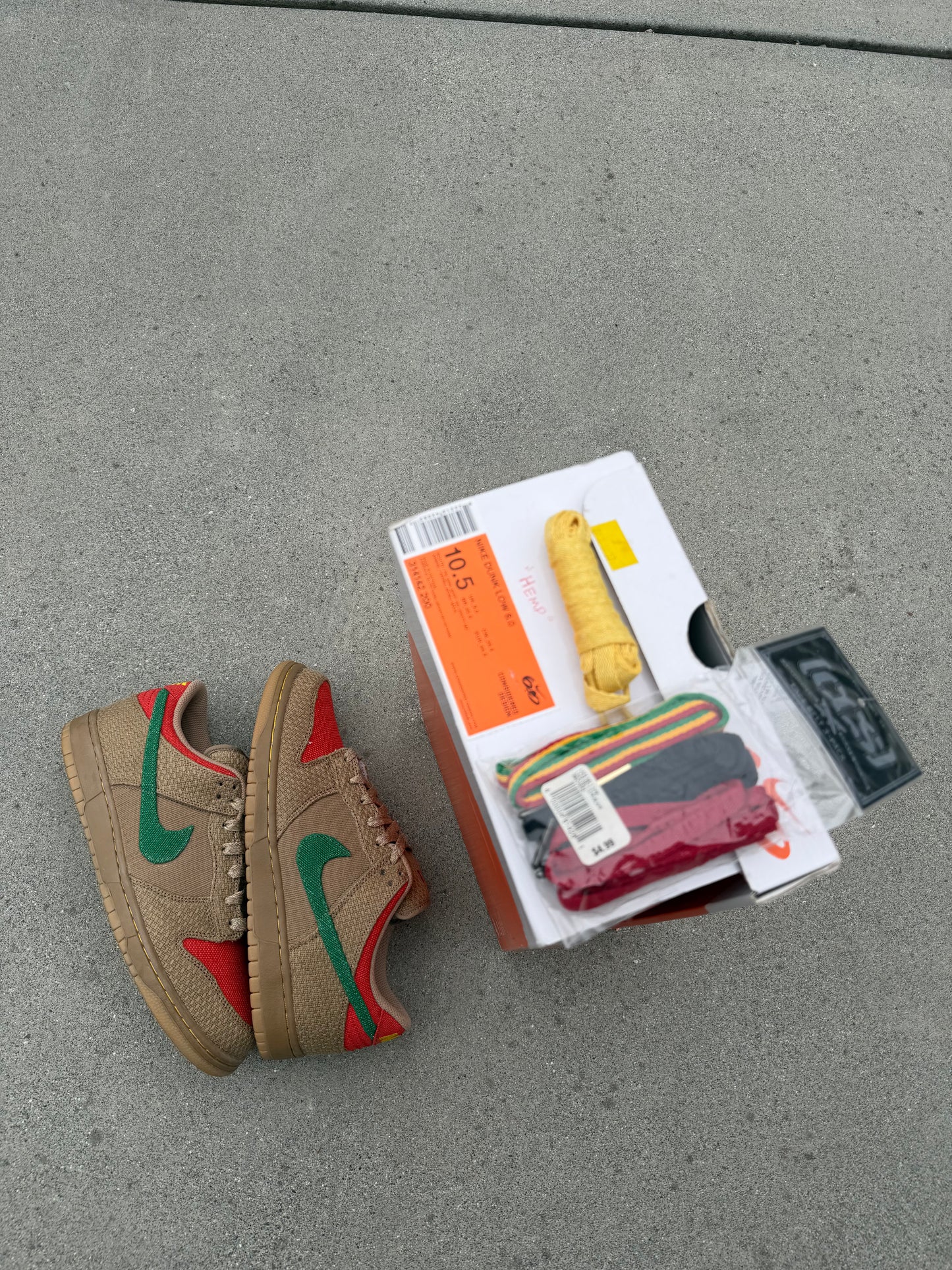 Size 10.5 - Nike Dunk Low 6.0 Rasta