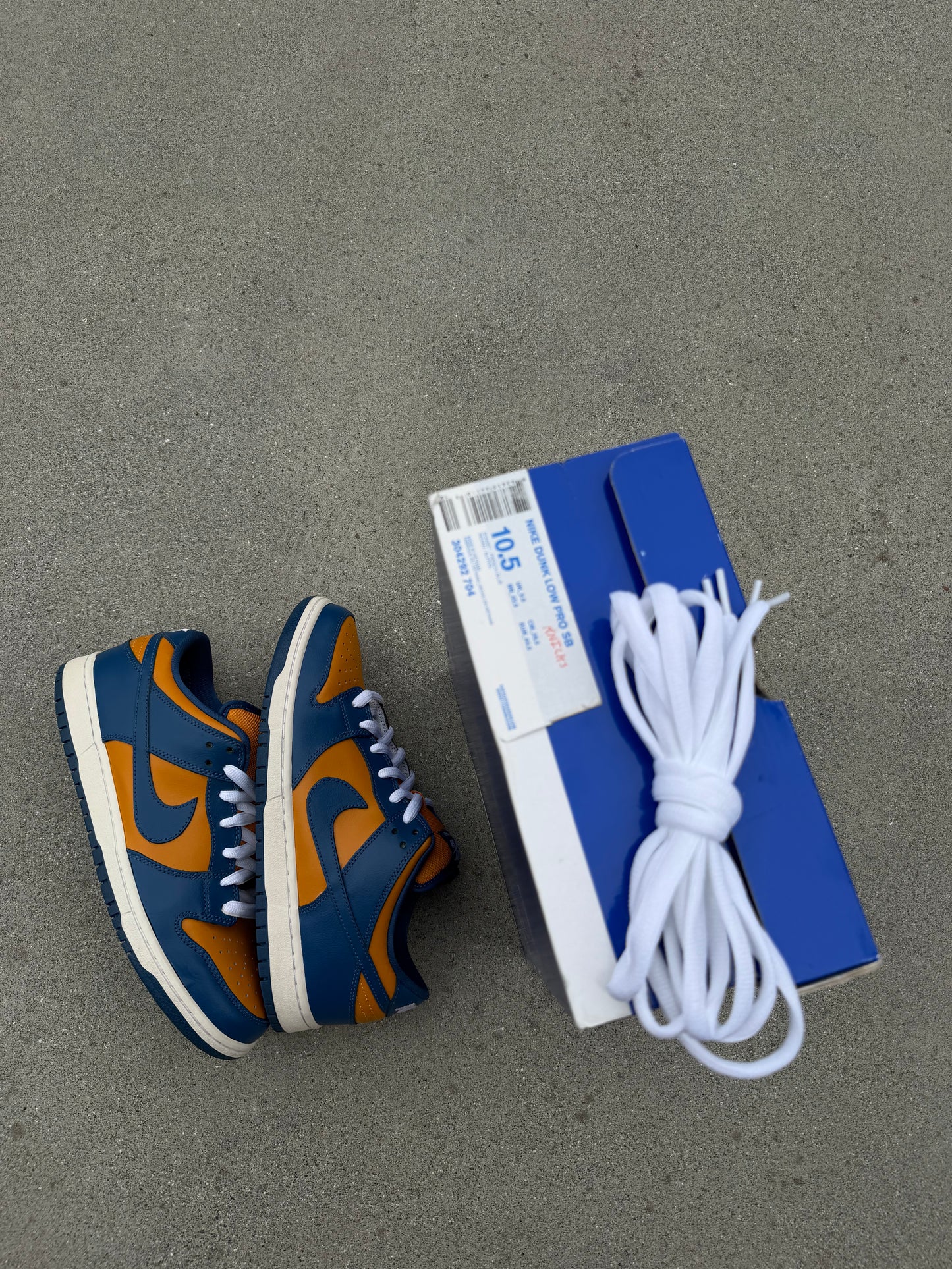 Size 10.5 - Nike Dunk Low Pro SB Sunset French Blue