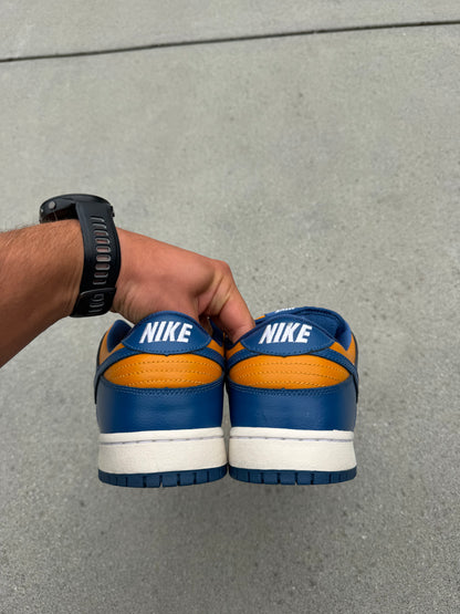 Size 10.5 - Nike Dunk Low Pro SB Sunset French Blue