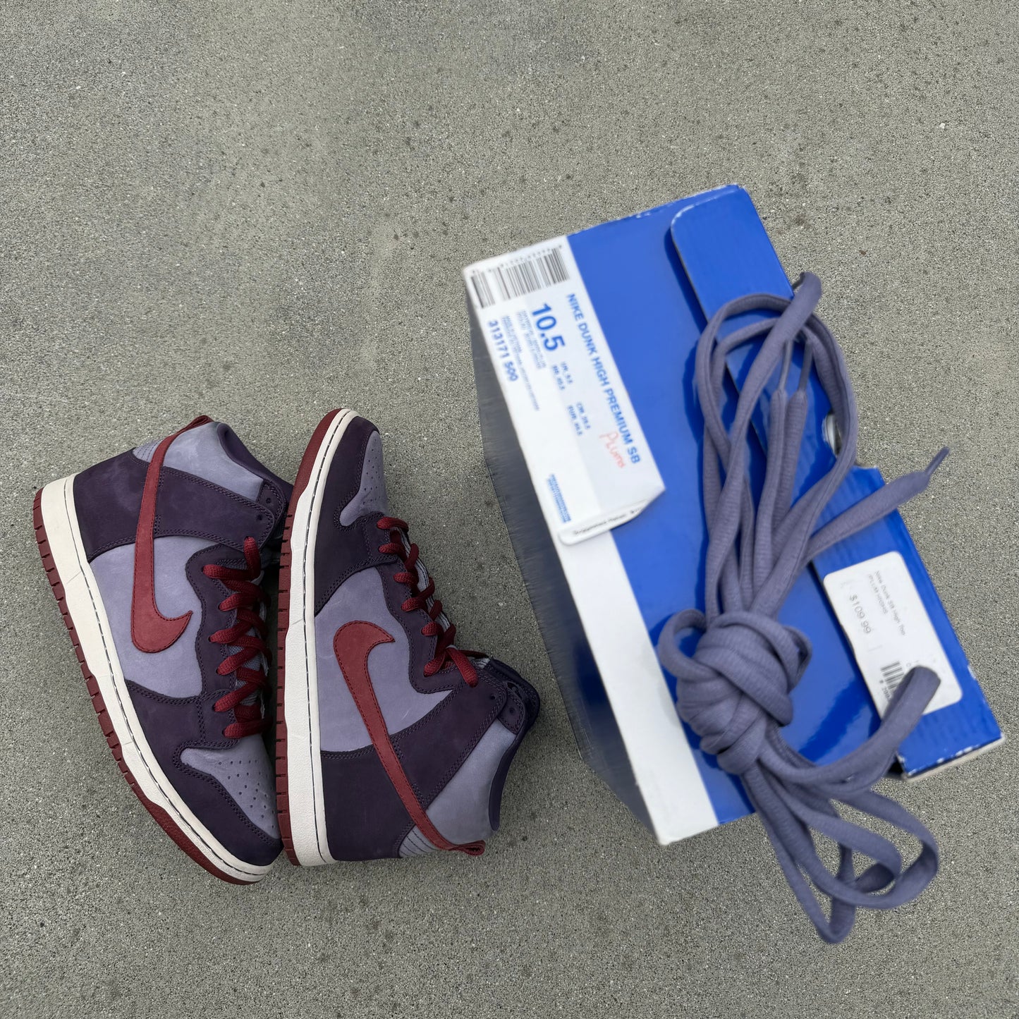 Size 10.5 - Nike Dunk High Pro SB Plum