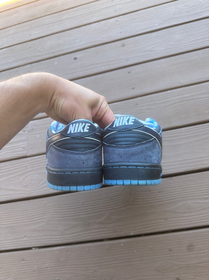 Size 11 - Concepts x Nike SB Dunk Low Premium Blue Lobster