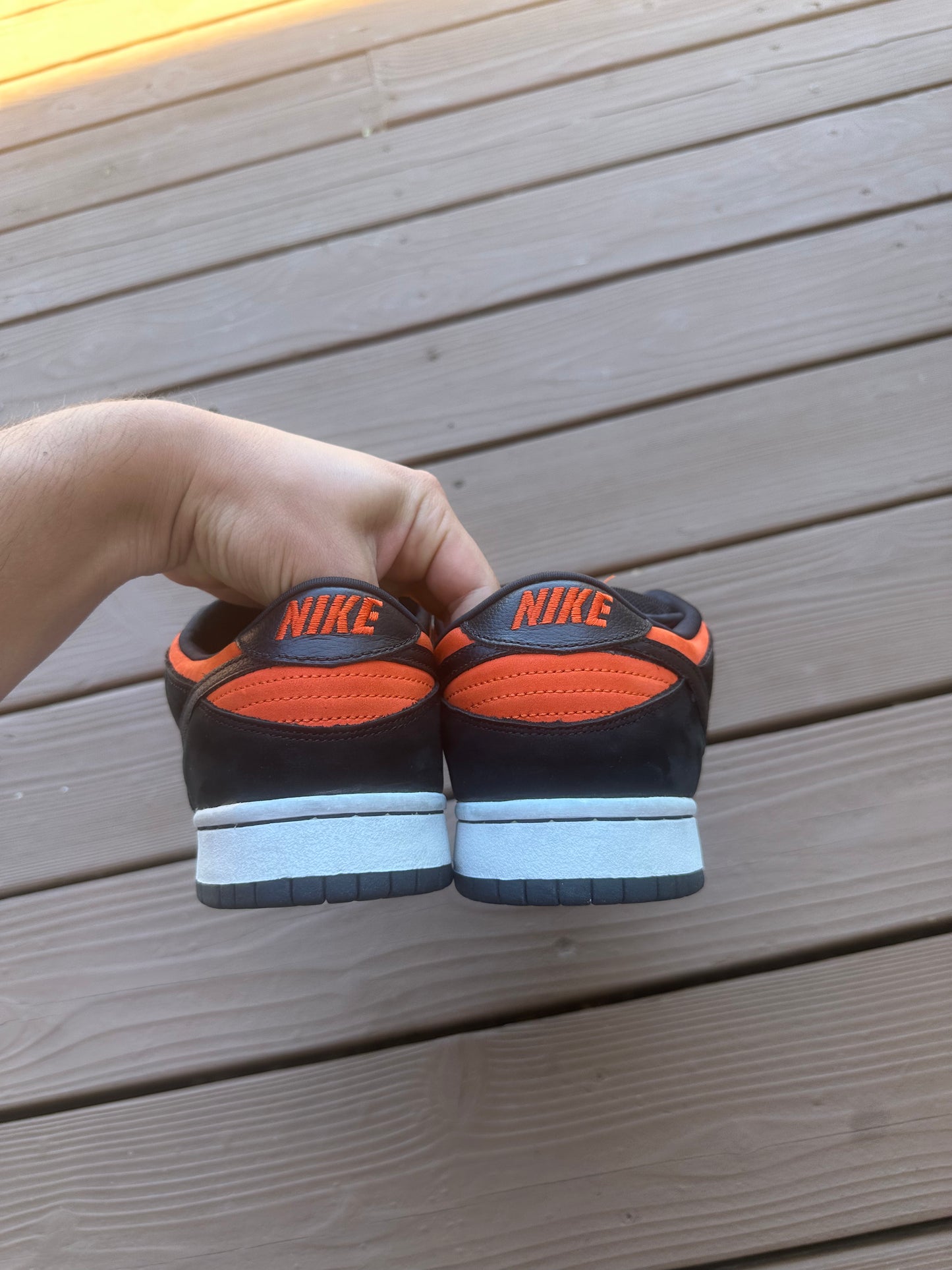 Size 10 - Nike Dunk Low Pro SB "Flash"