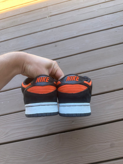 Size 10 - Nike Dunk Low Pro SB "Flash"