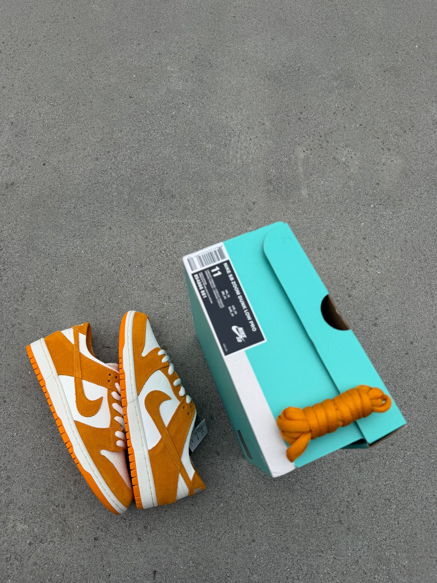 Size 11 - Nike SB Zoom Dunk Low Pro Circuit Orange