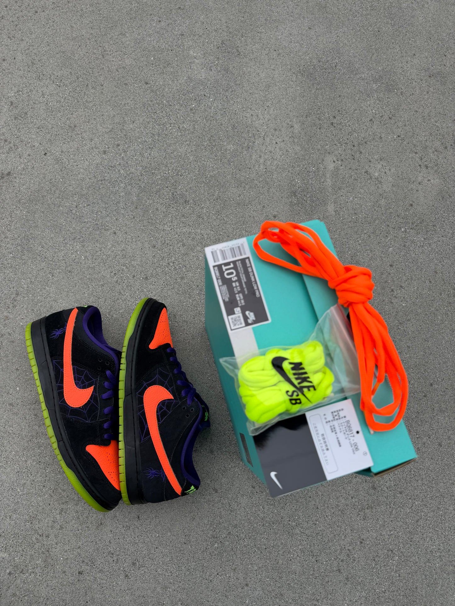 Size 10.5 - Nike Dunk Low Pro SB Night of Mischief