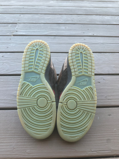 Size 9.5 - Nike Dunk Low Pro SB Bison