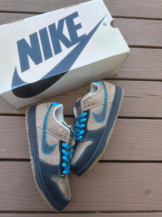 Size 10.5 - Nike Dunk Low Pro SB Slam City
