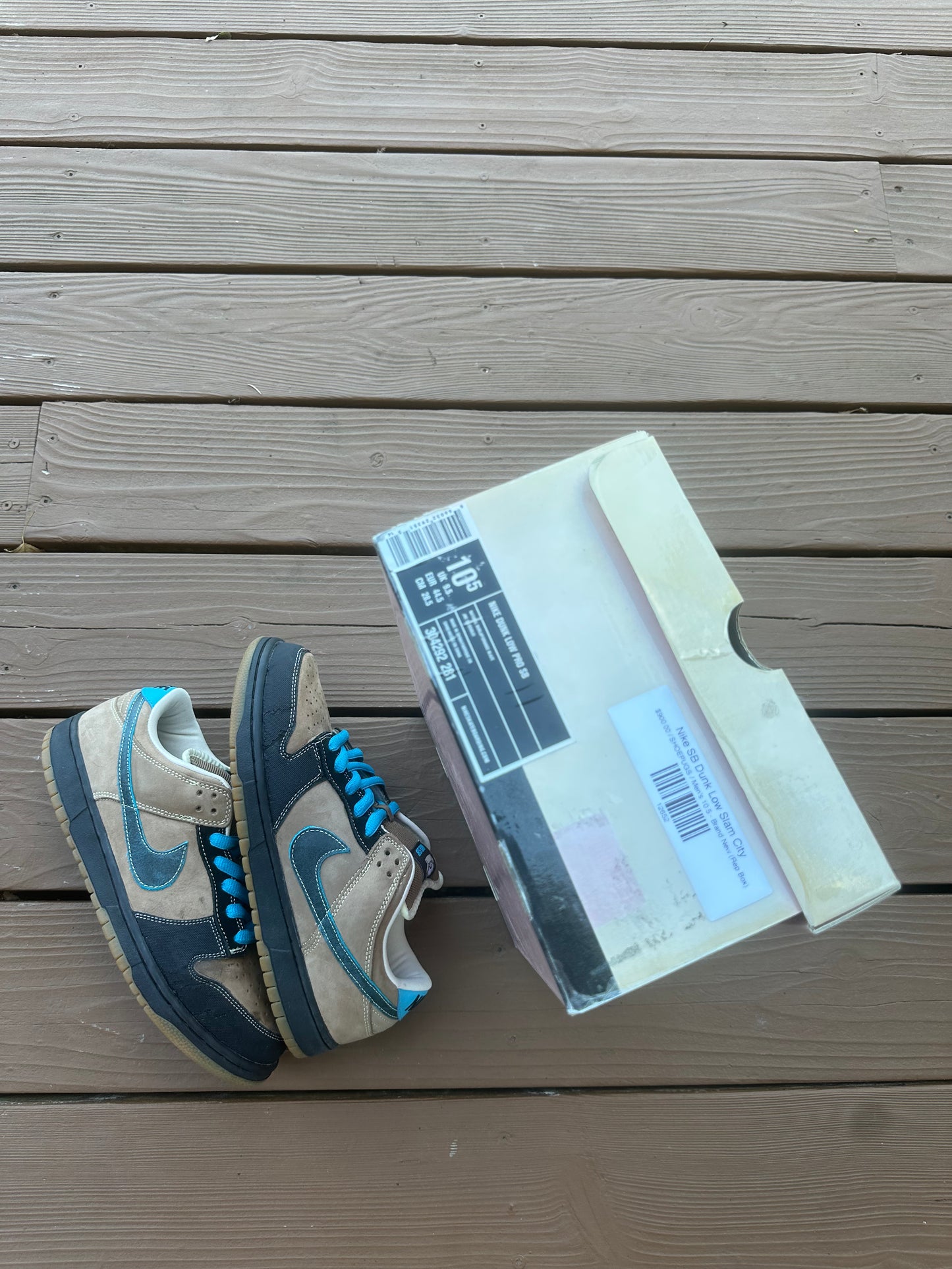 Size 10.5 - Nike Dunk Low Pro SB Slam City