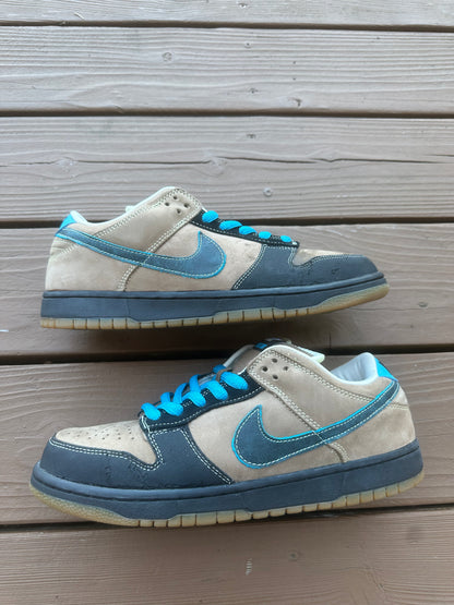 Size 10.5 - Nike Dunk Low Pro SB Slam City