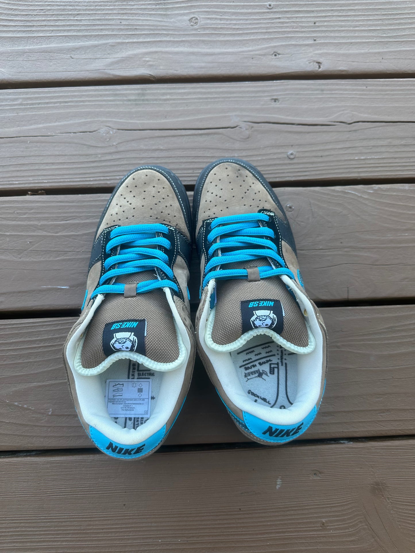 Size 10.5 - Nike Dunk Low Pro SB Slam City
