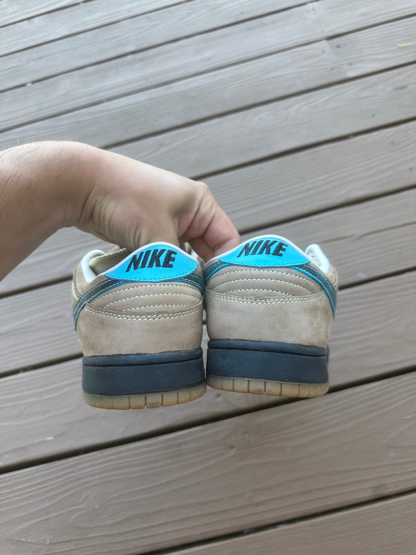 Size 10.5 - Nike Dunk Low Pro SB Slam City