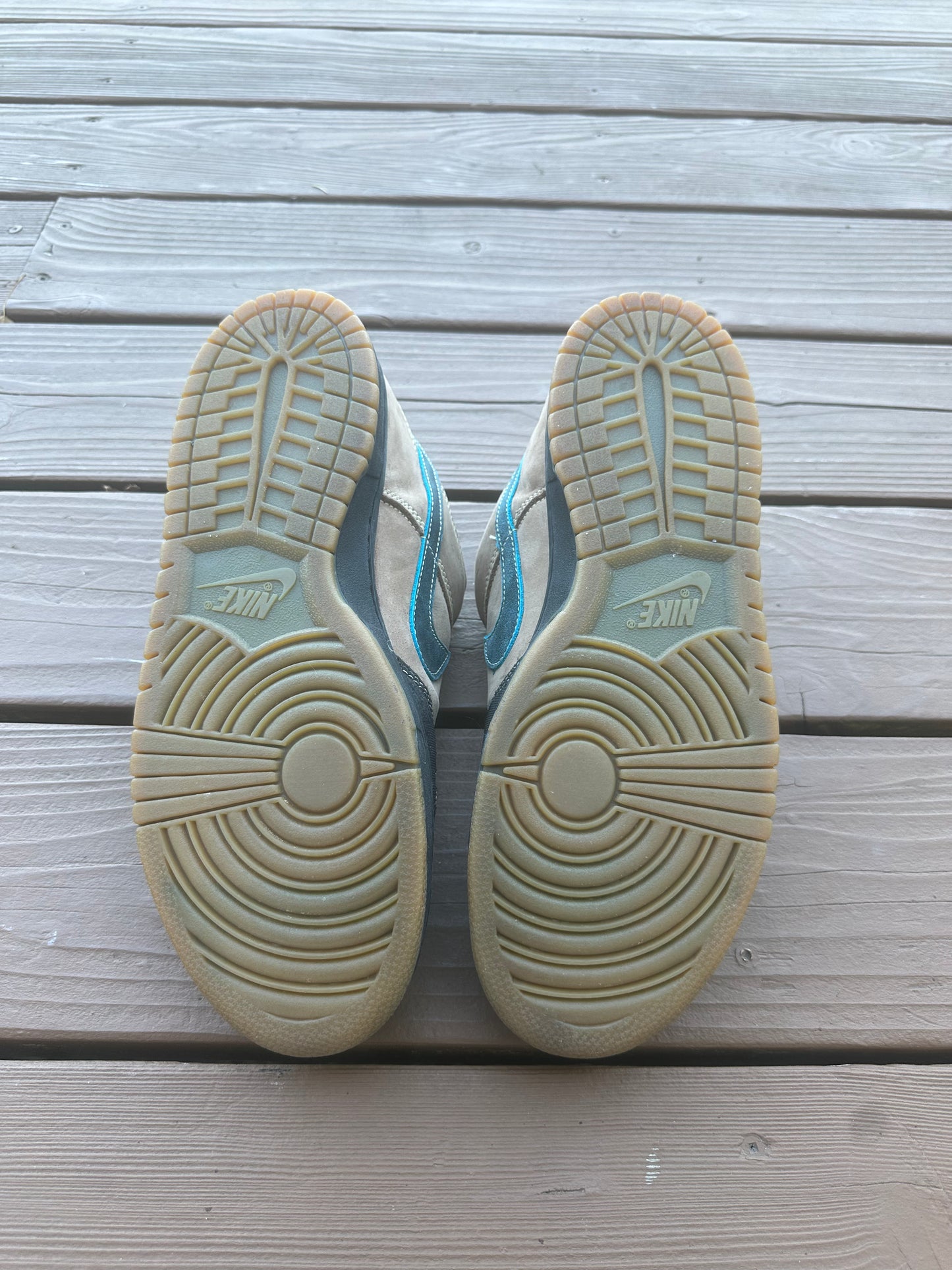 Size 10.5 - Nike Dunk Low Pro SB Slam City