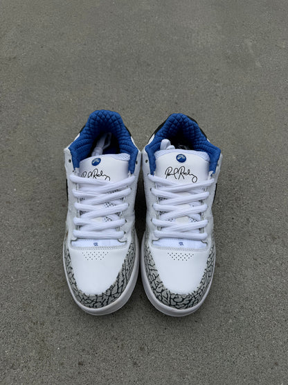 Size 10 - Nike Paul Rodriguez 2 Premium White Cement