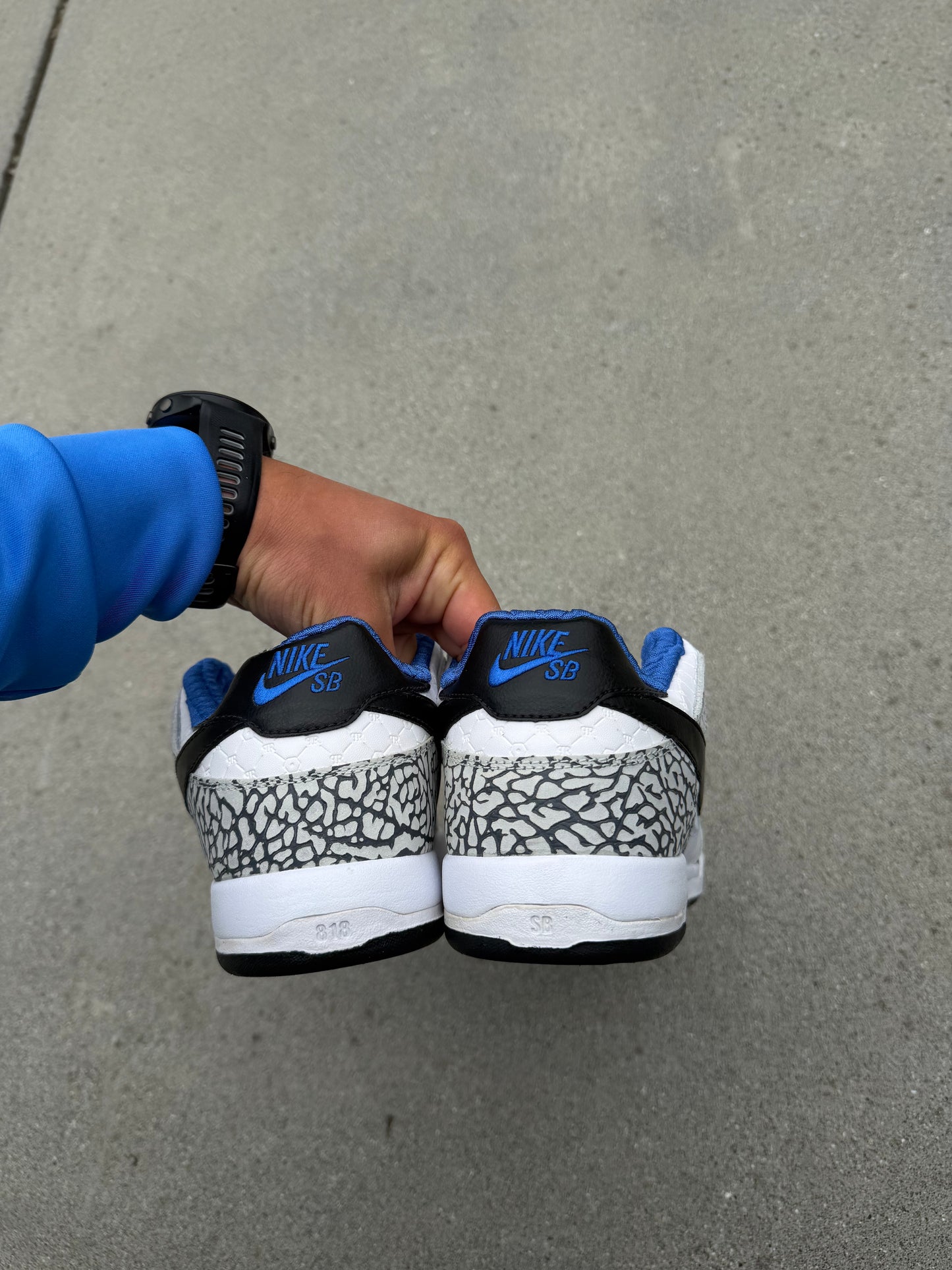 Size 10 - Nike Paul Rodriguez 2 Premium White Cement