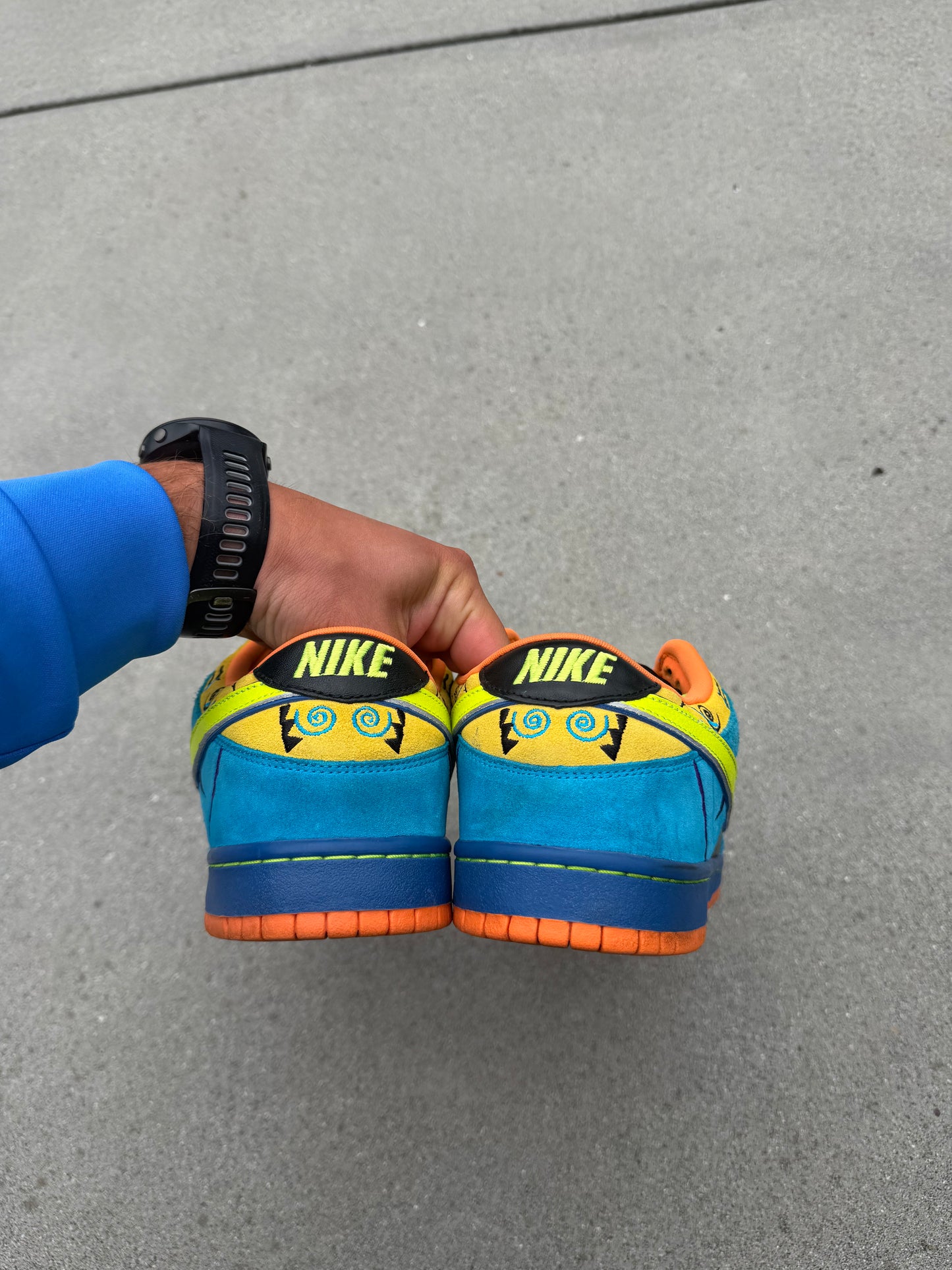 Size 11.5 - Nike Dunk Low Pro SB Skate or Die