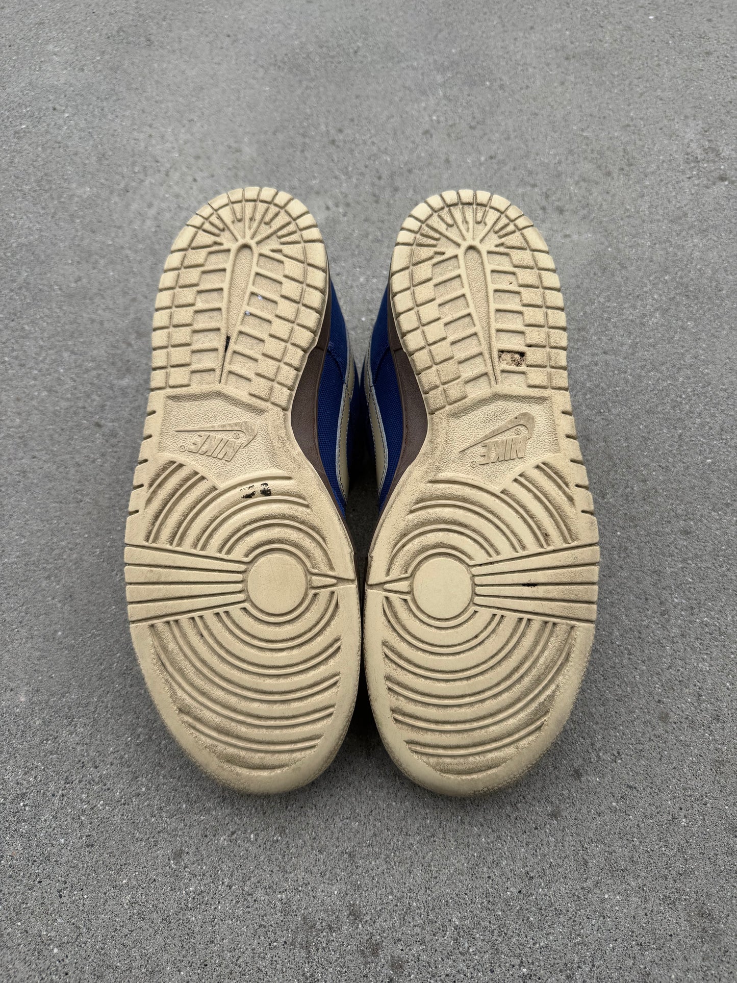 Size 11 - Nike Dunk Low Pro SB Gold Rail