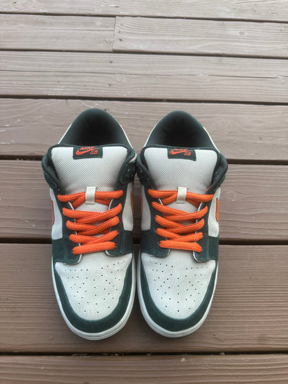 Size 11 - Nike Dunk Low Pro SB Eire