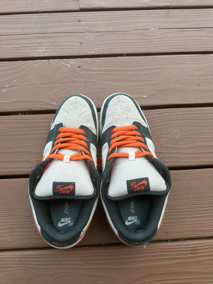 Size 11 - Nike Dunk Low Pro SB Eire