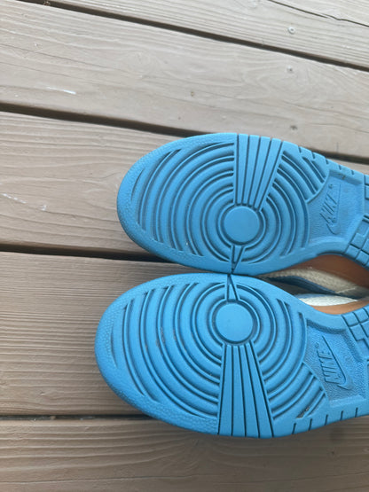 Size 9.5 - Nike Dunk Low Pro SB Blue Hemp