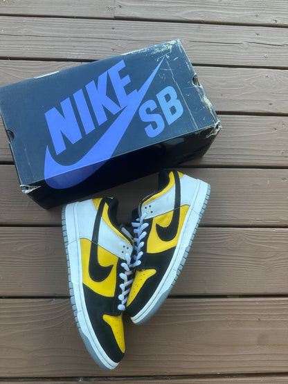 Size 11 - Nike Dunk Low Pro SB Bic