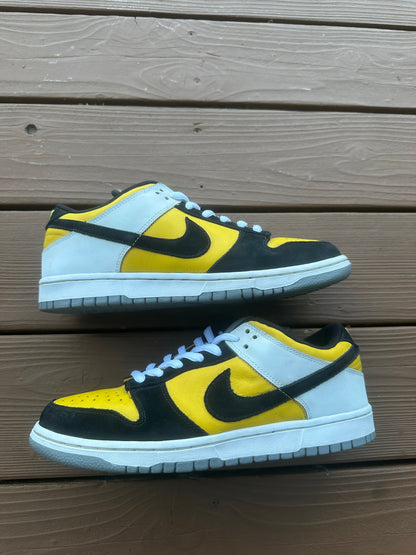 Size 11 - Nike Dunk Low Pro SB Bic