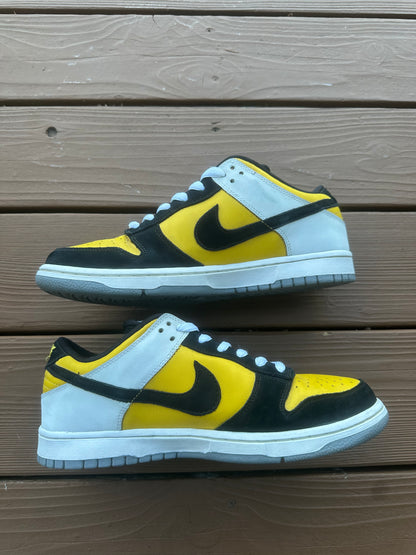 Size 11 - Nike Dunk Low Pro SB Bic