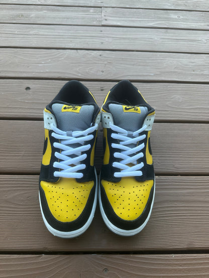 Size 11 - Nike Dunk Low Pro SB Bic