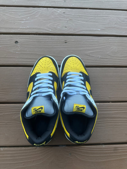 Size 11 - Nike Dunk Low Pro SB Bic