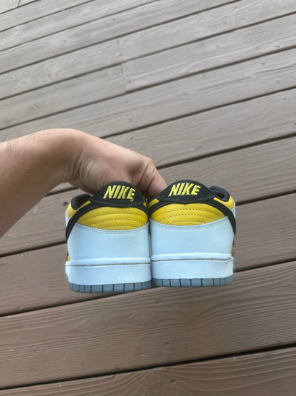 Size 11 - Nike Dunk Low Pro SB Bic