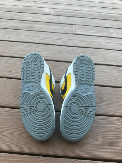 Size 11 - Nike Dunk Low Pro SB Bic