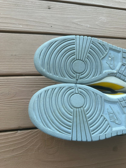 Size 11 - Nike Dunk Low Pro SB Bic