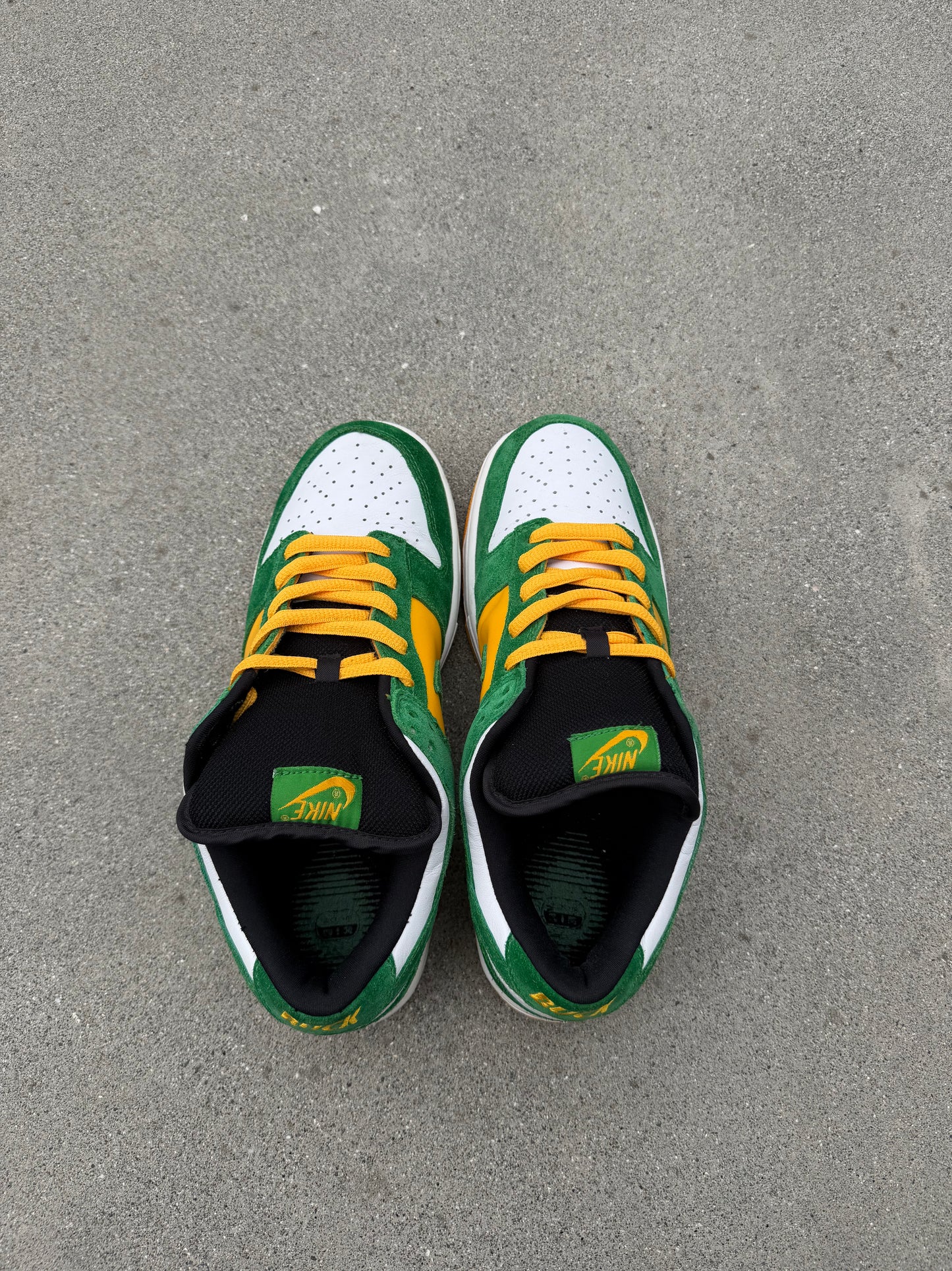 Size 10 - Nike Dunk Low Pro SB Buck