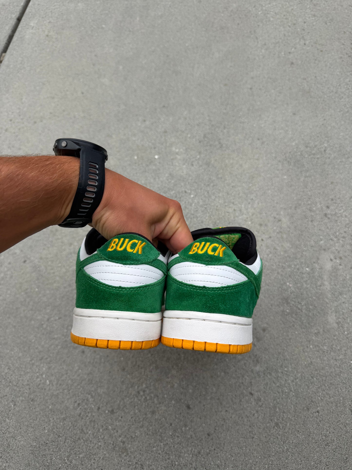 Size 10 - Nike Dunk Low Pro SB Buck