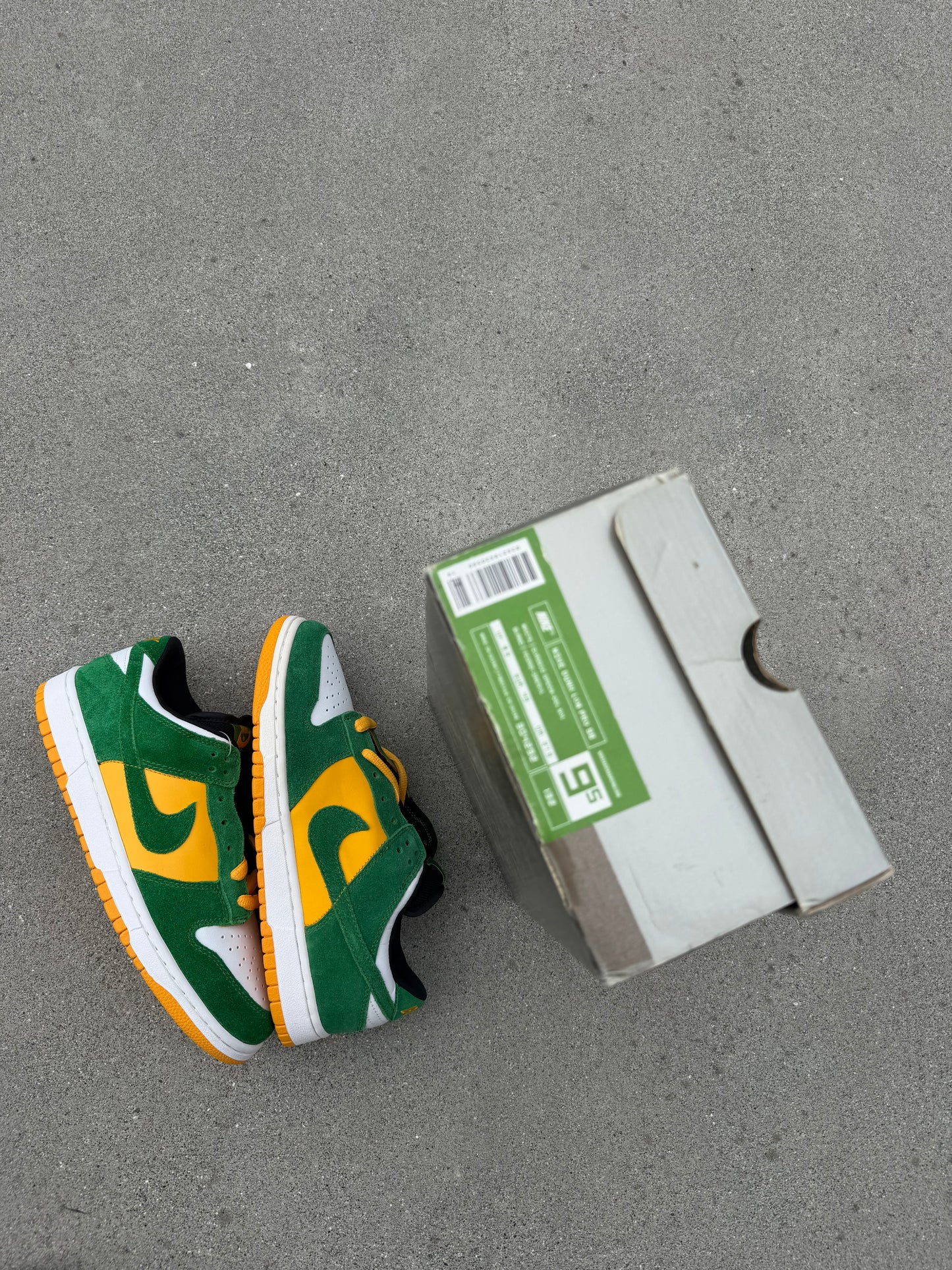 Size 9.5 - Nike Dunk Low Pro SB Buck
